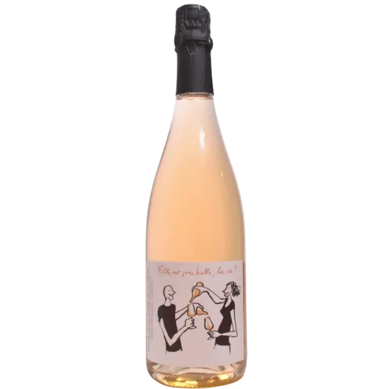 Buy Breton Elle Est Pas Bulle Pet Nat 750mL sparkling wine bottle with illustrated label