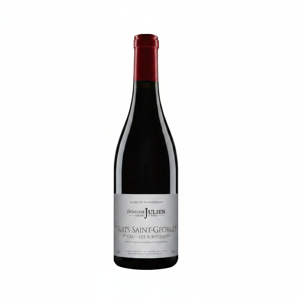 Buy bottle of Domaine Gerard Julien & Fils Nuits-Saint-Georges 2021