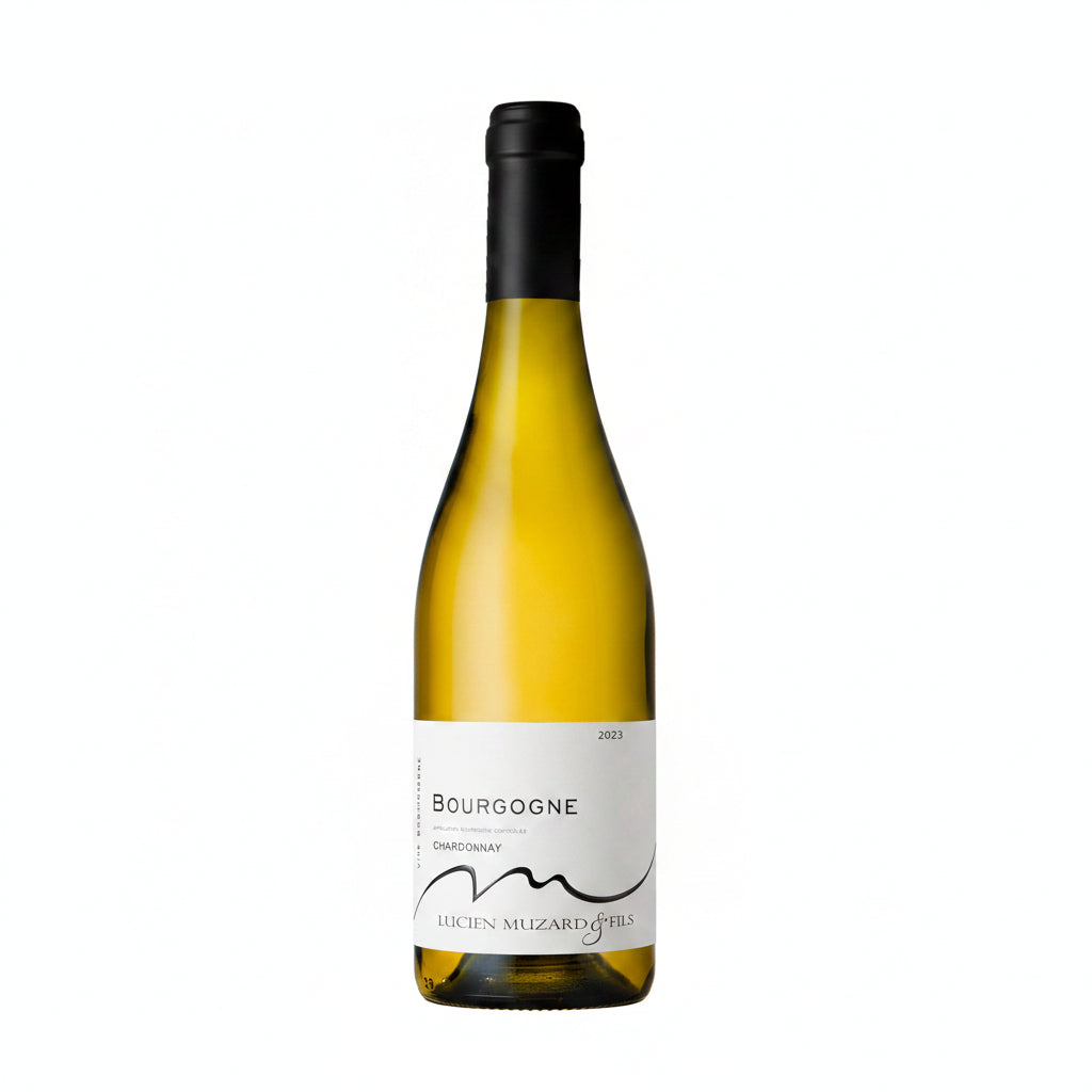 Buy bottle of Lucien Muzard Bourgogne Chardonnay