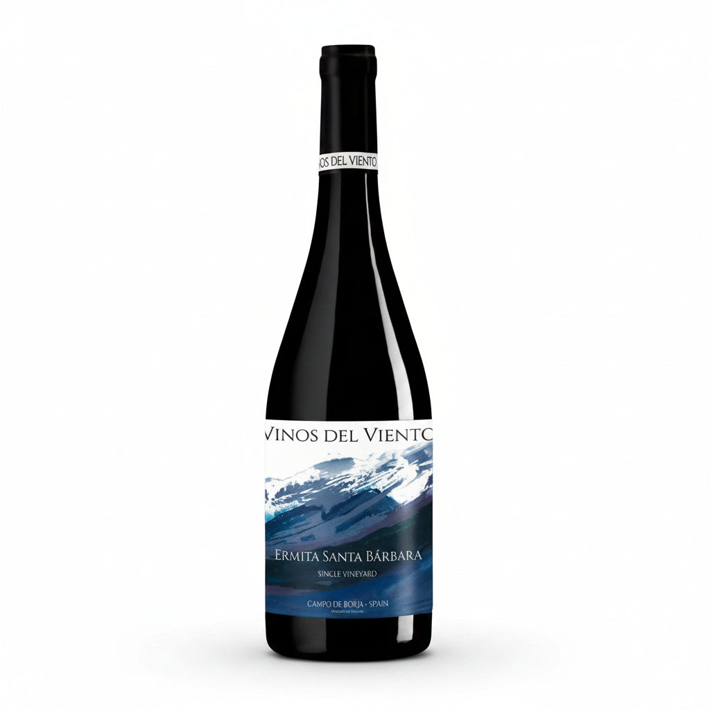 Buy bottle of Vinos Del Viento Ermita De Santa Barbara 750mL