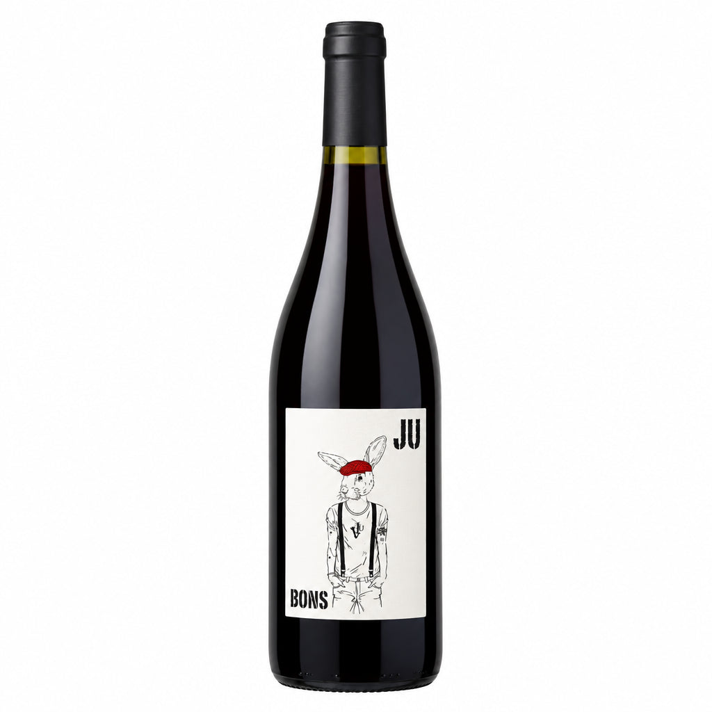Domaine Domaine De La Gravierette Bons Ju Red wine bottle with label, showcasing deep red color and elegant packaging.