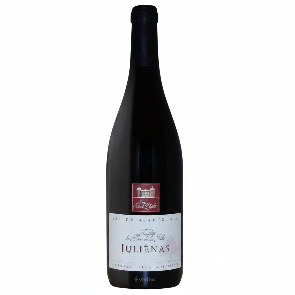 Chateau Chateau Bois De La Salle Julienas Beaujo red wine bottle with label and foil capsule on a plain background