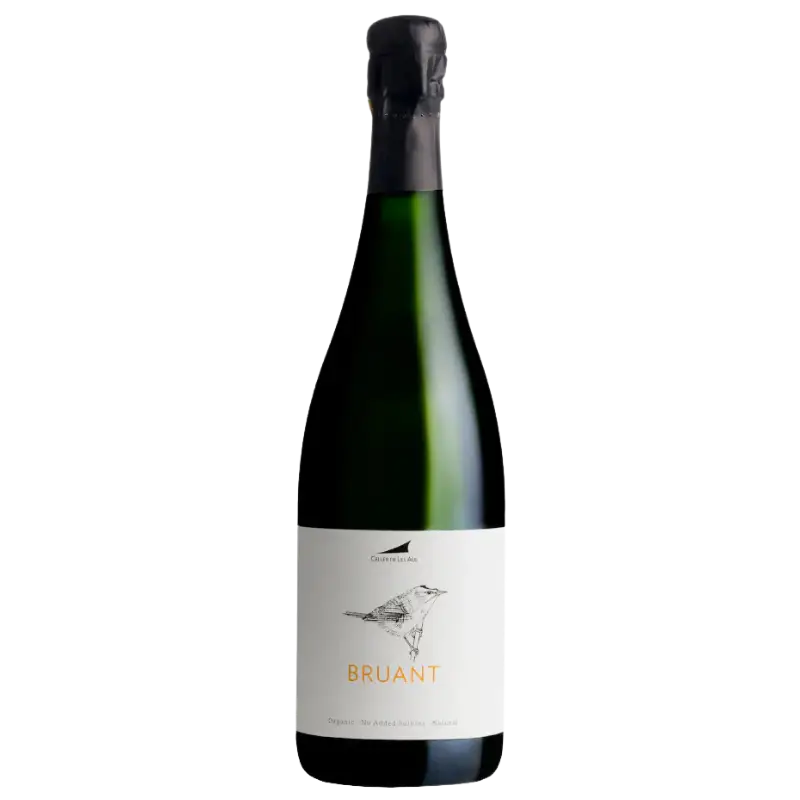 Buy Alta Alella Bruant 750mL sparkling wine bottle with bird illustration label