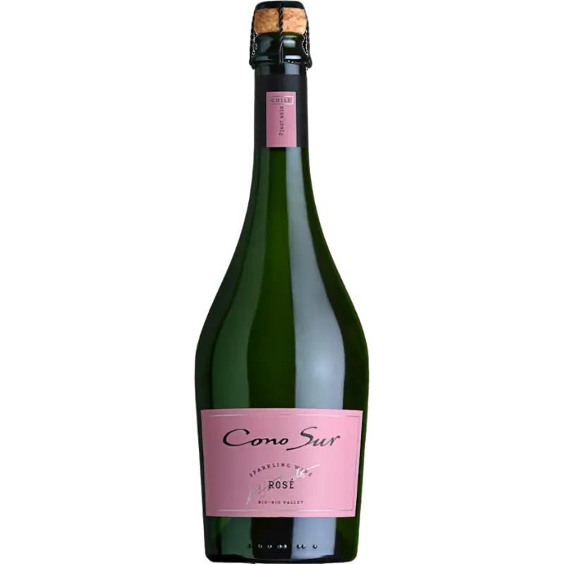 Buy Cono Sur Brut Rosé 750mL sparkling wine bottle with pink label and cork top