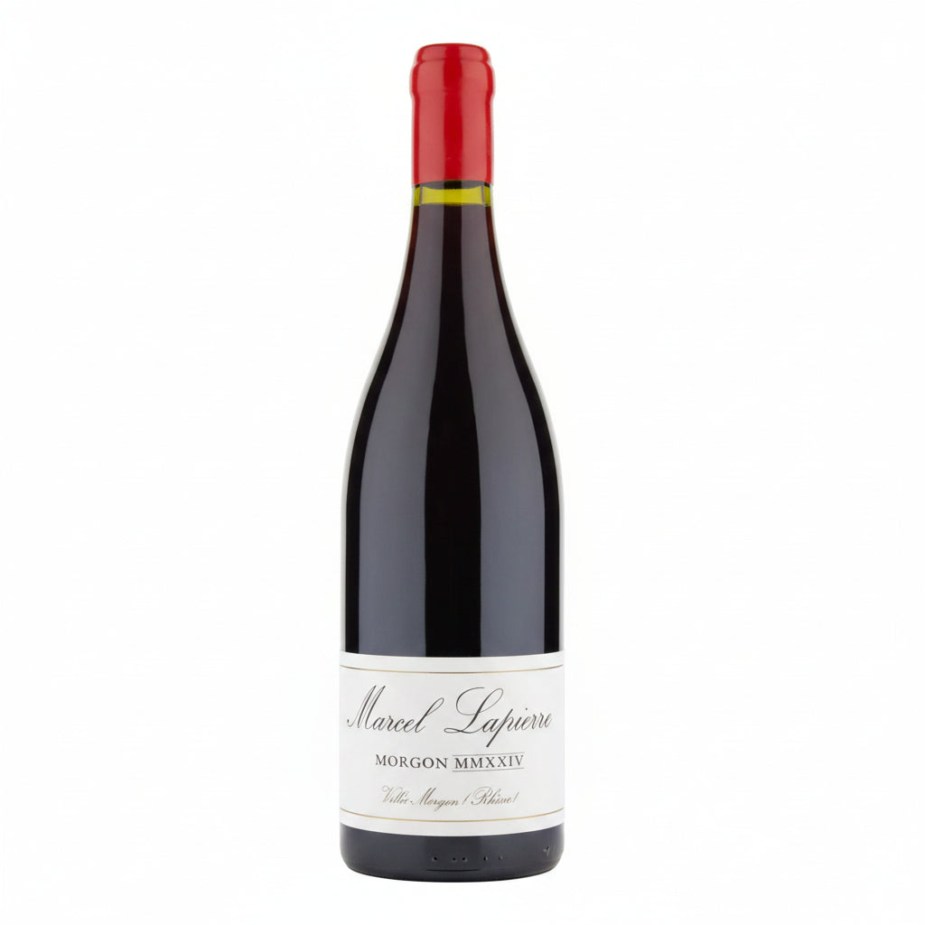 Bottle of Domaine Lapierre Morgon Cuvee Marcel 2024 red wine with label visible, showcasing elegance and rich color.