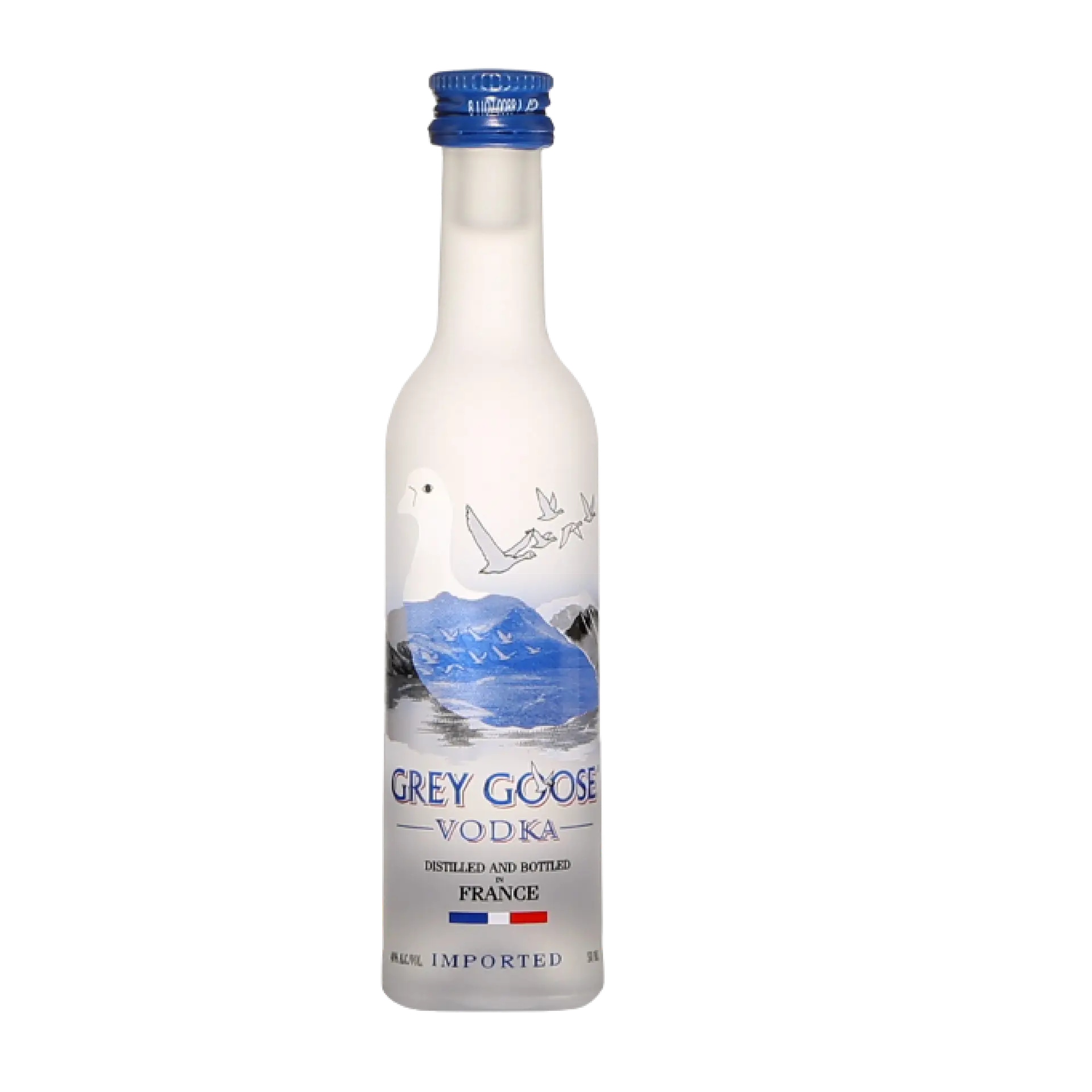 buy Grey Goose Vodka 50mL bottle
