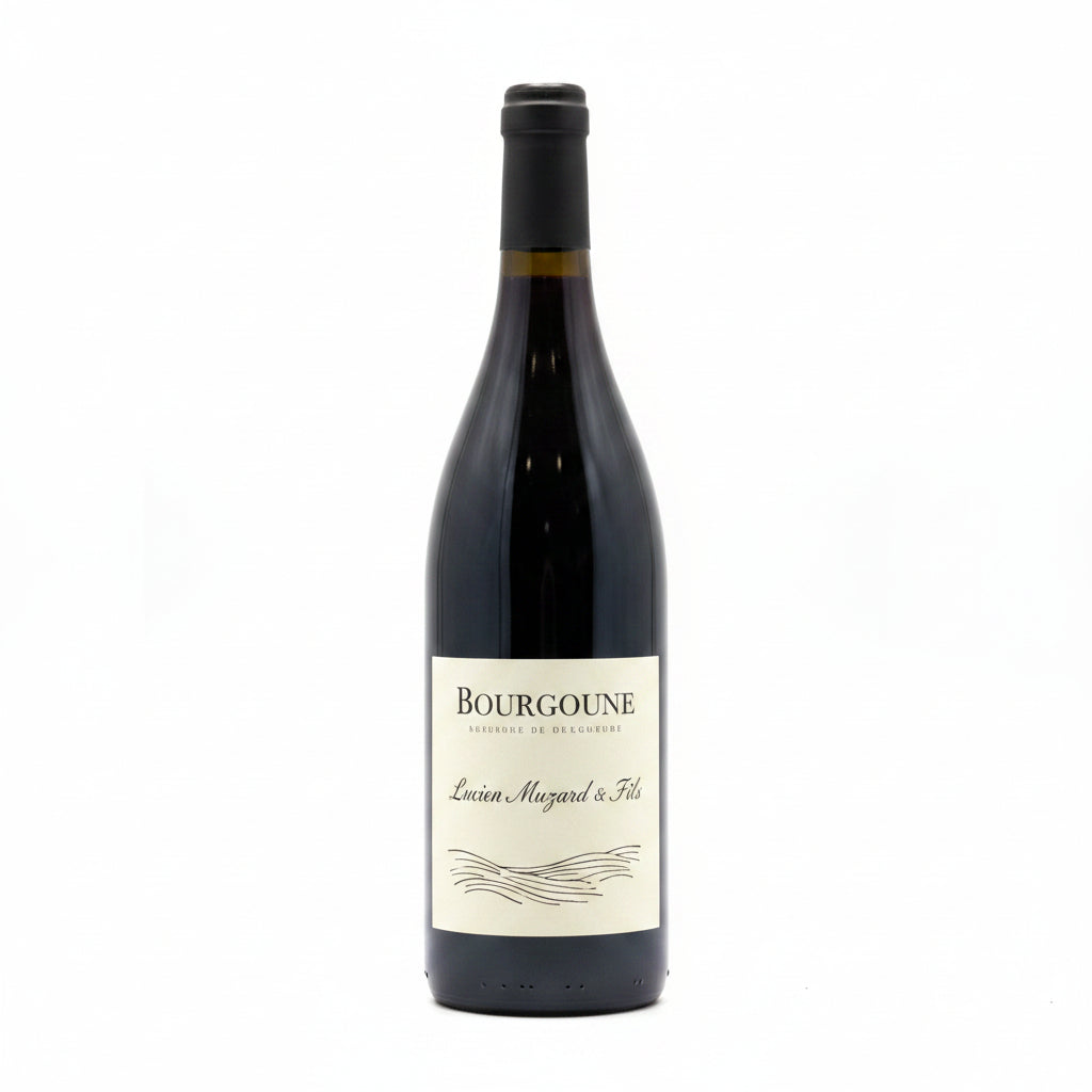 Buy bottle of Lucien Muzard Bourgogne Rouge