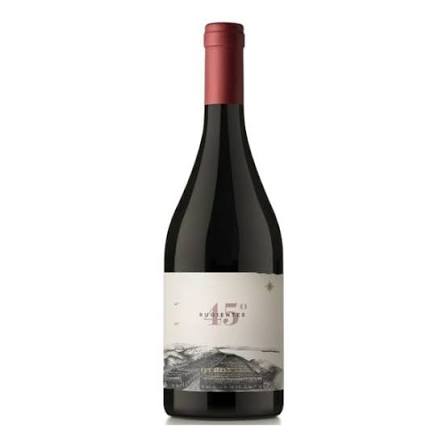 Buy Otronia 45° Rugientes Pinot Noir 750mL