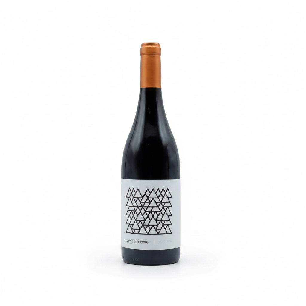 Buy A bottle of Puerto Del Monte Mencia 750mL