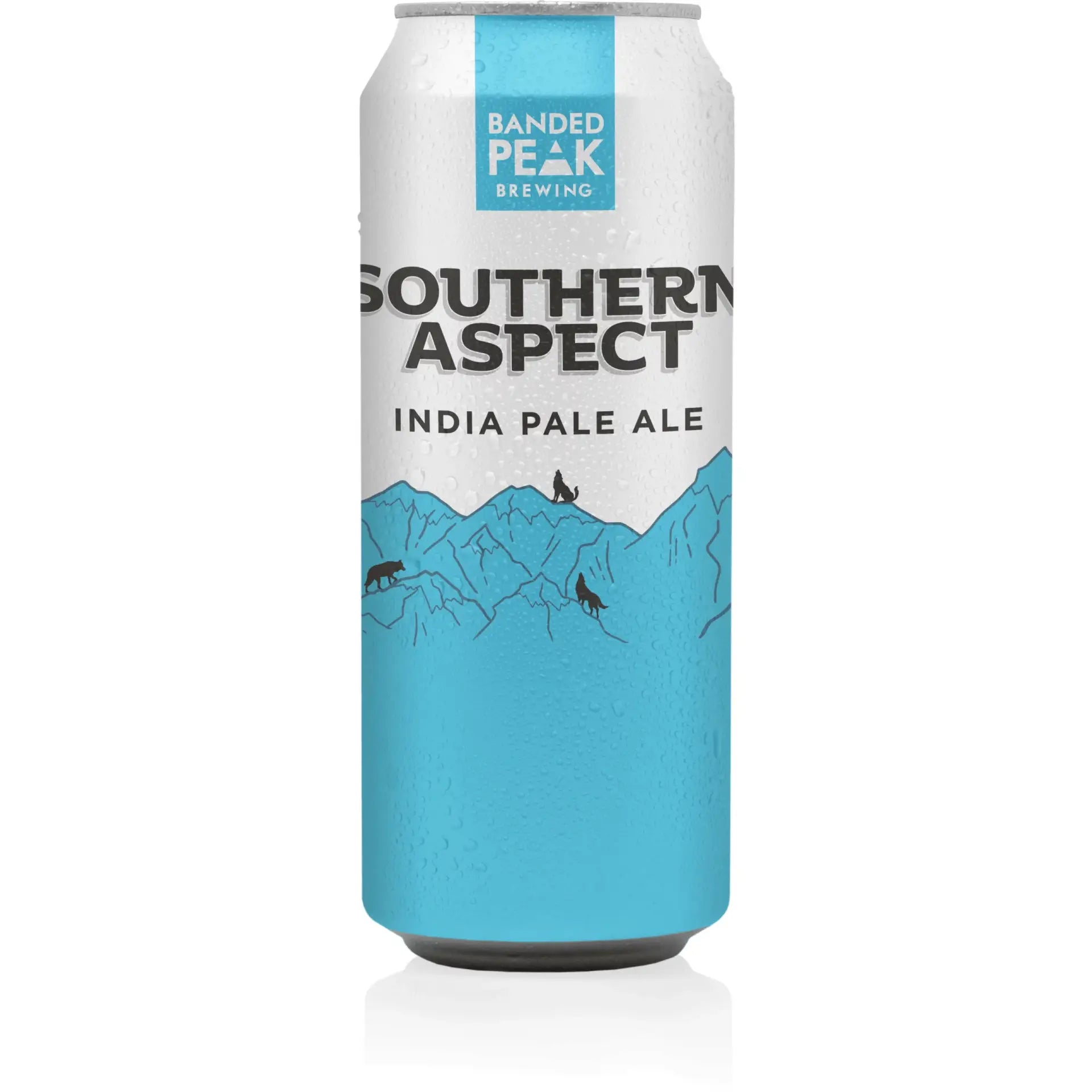 Buy Southern Aspect India Pale Ale, cold can with blue mountain design