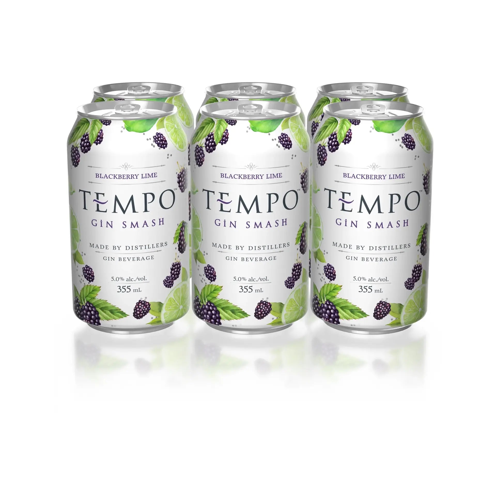 buy Tempo Gin Smash Blackberry Lime 6x355mL cans, blackberry lime gin beverage