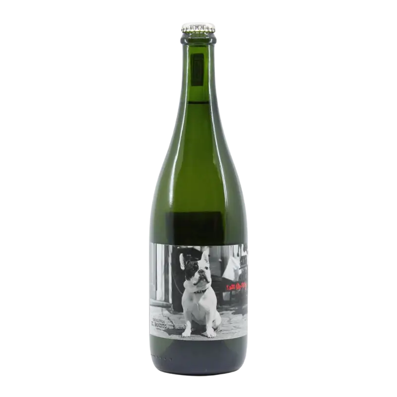 Testalonga I Am The Ninja Pet Nat 750Ml Bottle Image