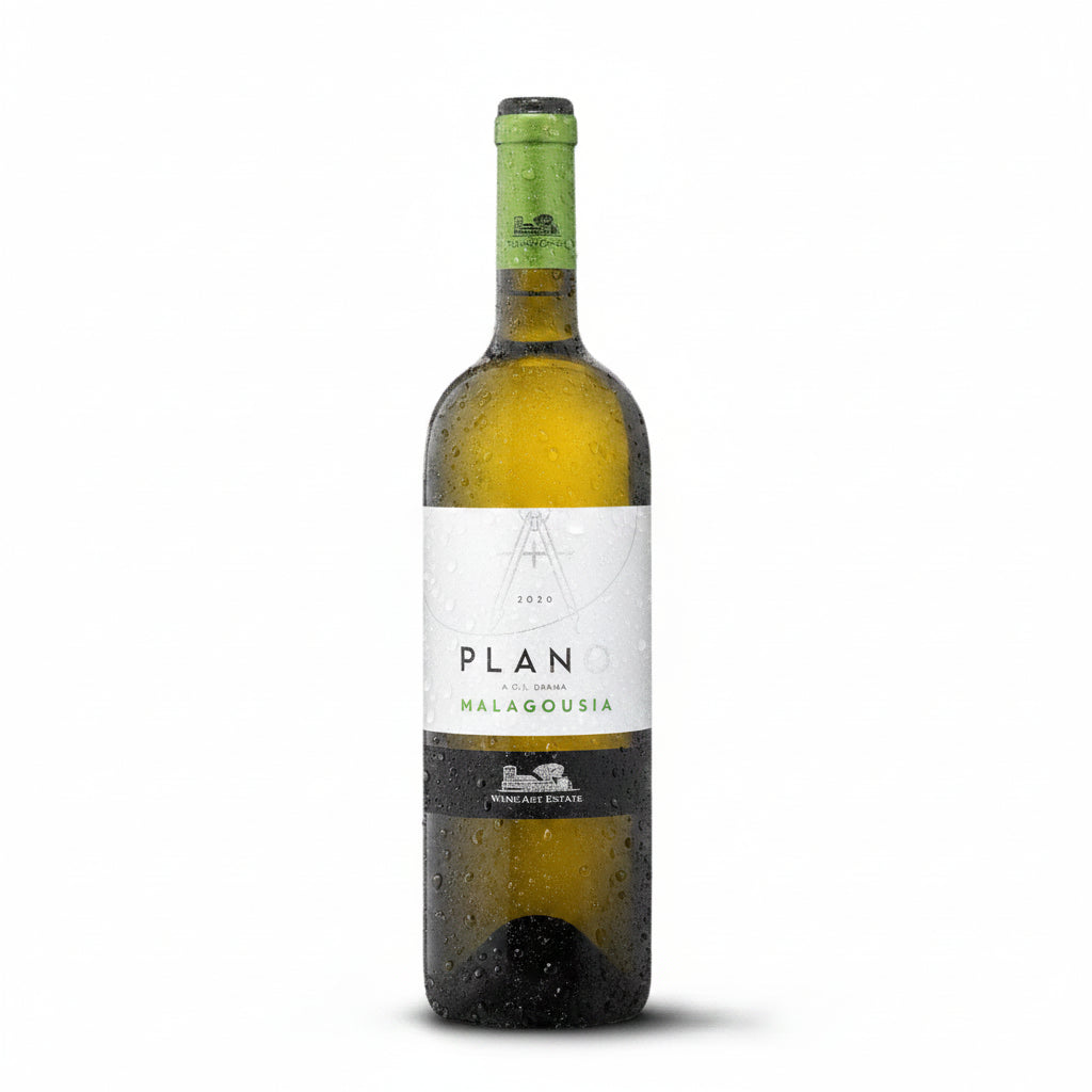 Buy Wine Art Estate - Plano Assyrtiko 750mL