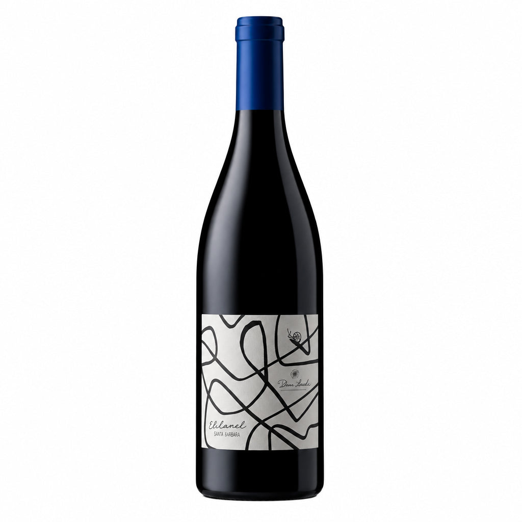 Dom Brial El Cami Syrah Organic