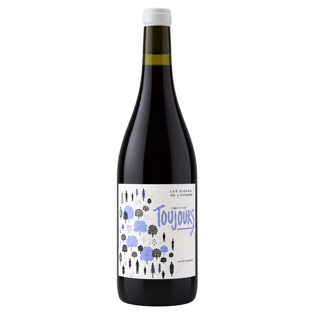 Les Indigenes Toujours Cinsault wine bottle from Les, featuring a sleek label design and dark glass bottle on a neutral background.