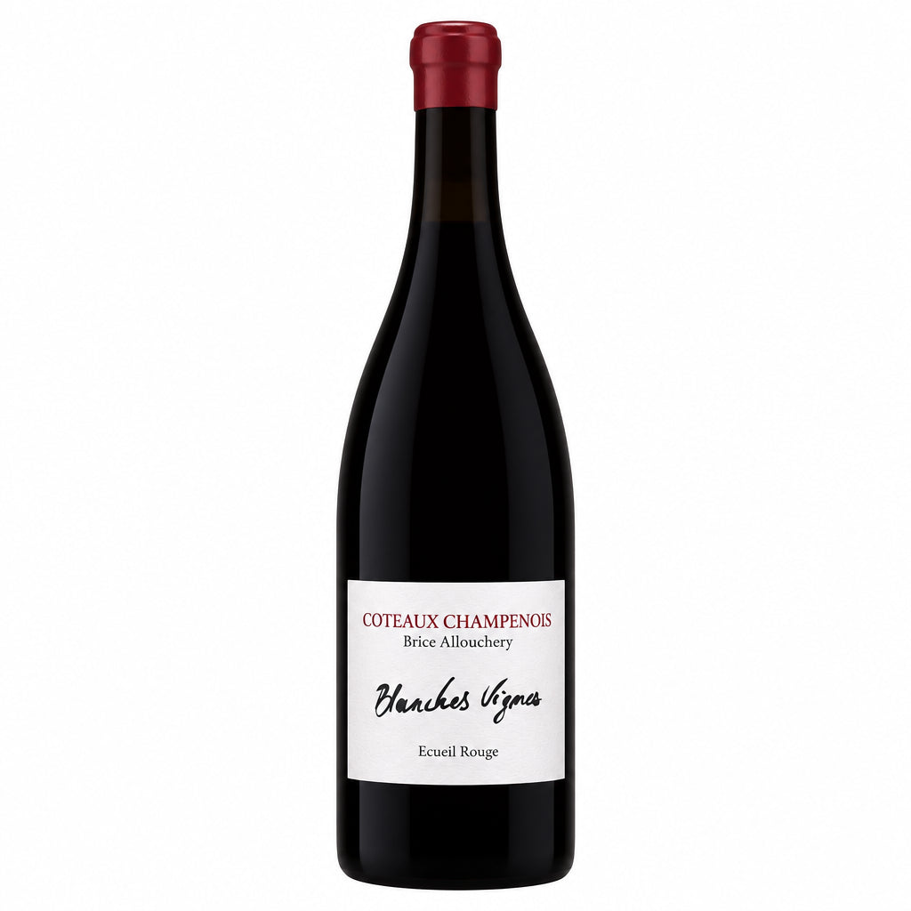 Brice Allouchery Coteaux Champenois